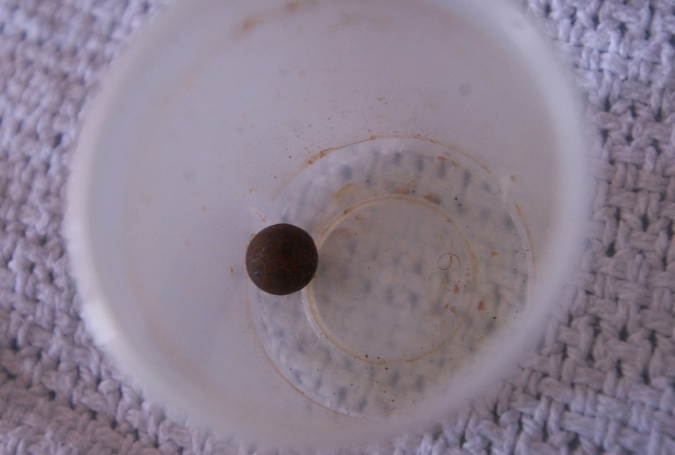 5 IRAQ09 MUELLER ADDIS